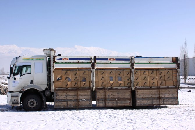 Erzincan’da gümrük kaçağı sigara operasyonu