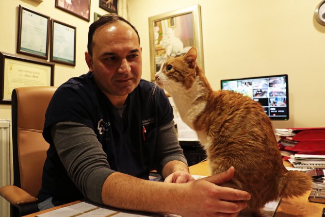 "Kedi Hastanesi"nin maskotu Umut ayaklandı