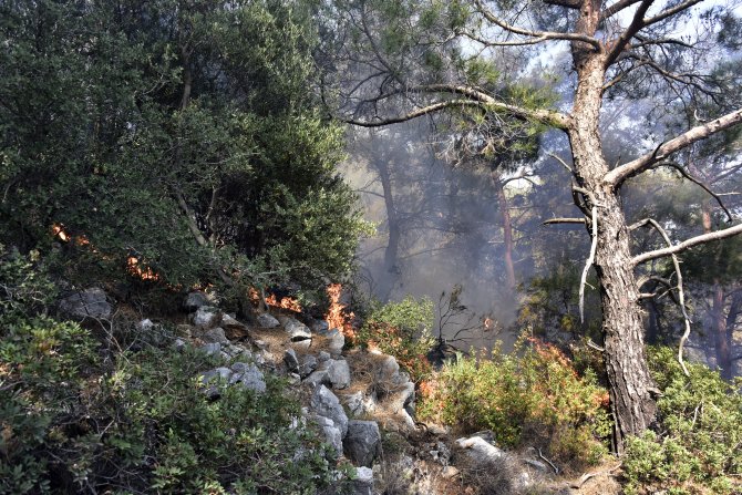 Bodrum'daki orman yangını söndürüldü