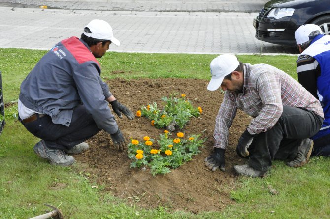 Gürün'de park bahçe onarım çalışmaları başladı