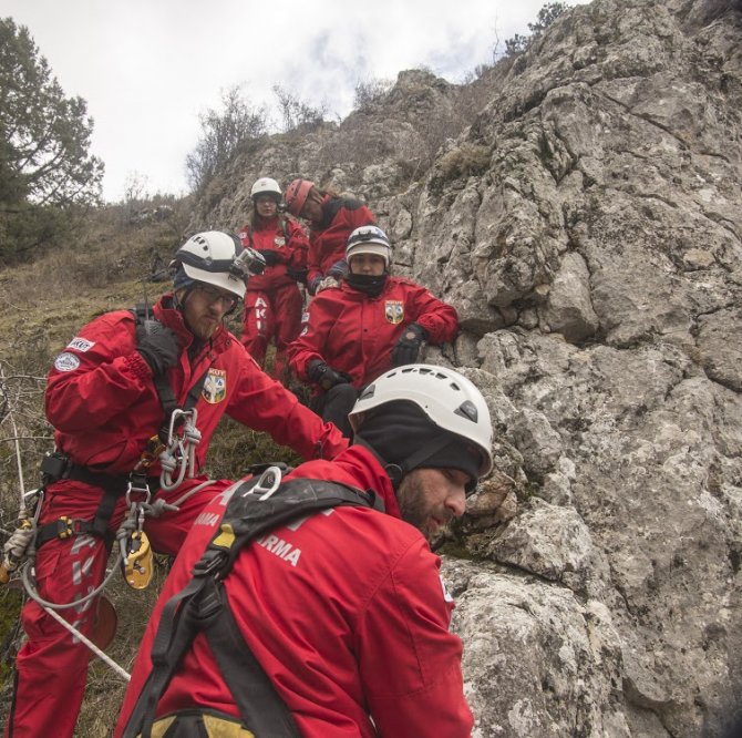 Hamile keçi 3 saatlik operasyonla kurtarıldı