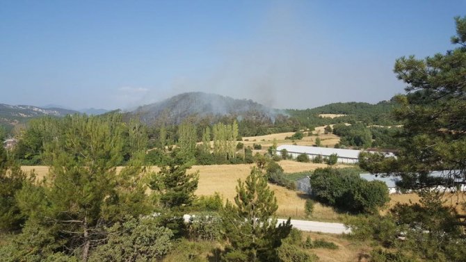 GÜNCELLEME - Bolu'da orman yangını