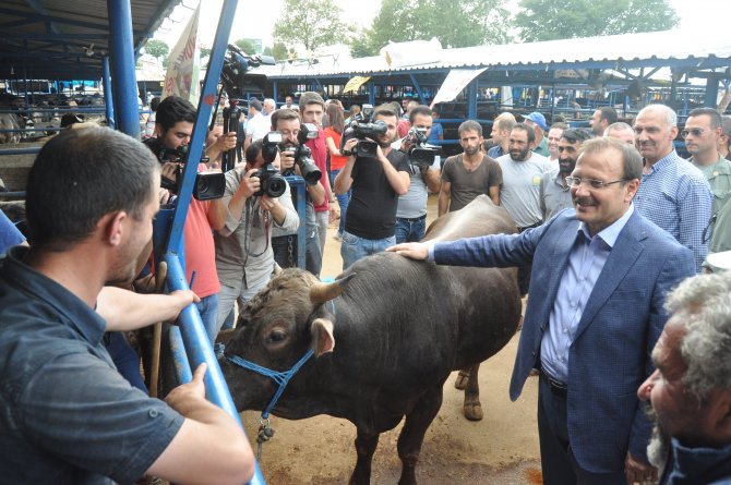 Başbakan Yardımcısı Çavuşoğlu: