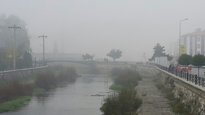 Bolu, Düzce ve Sakarya'da sis