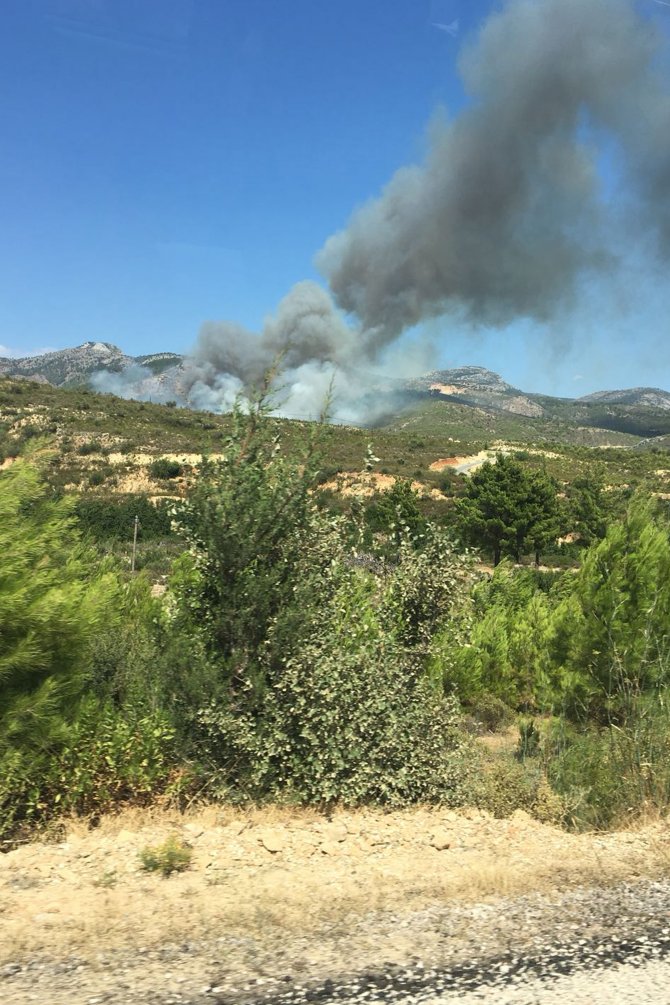 GÜNCELLEME - Mersin'de orman yangını