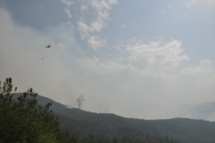 Hatay'daki orman yangını