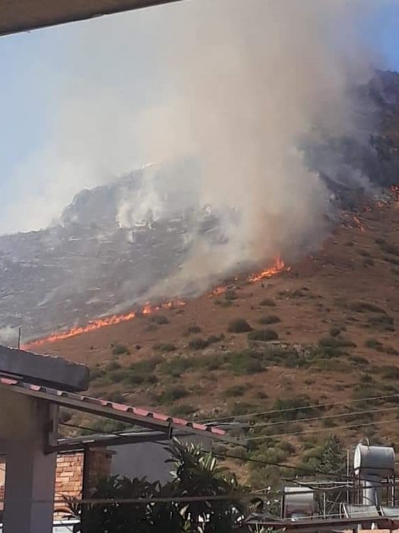 Adana'da orman yangını