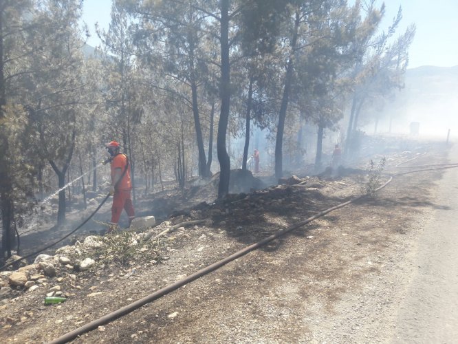 GÜNCELLEME - Mersin'de orman yangını