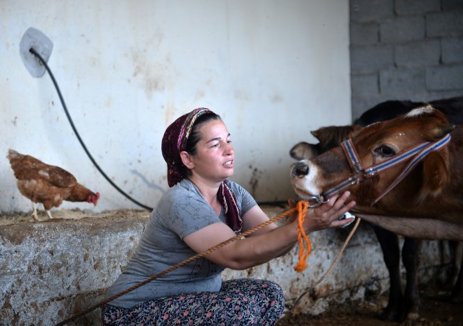 Huzuru Köyde Bulanlar - Şehirde ev temizliğine gidiyordu, besici oldu