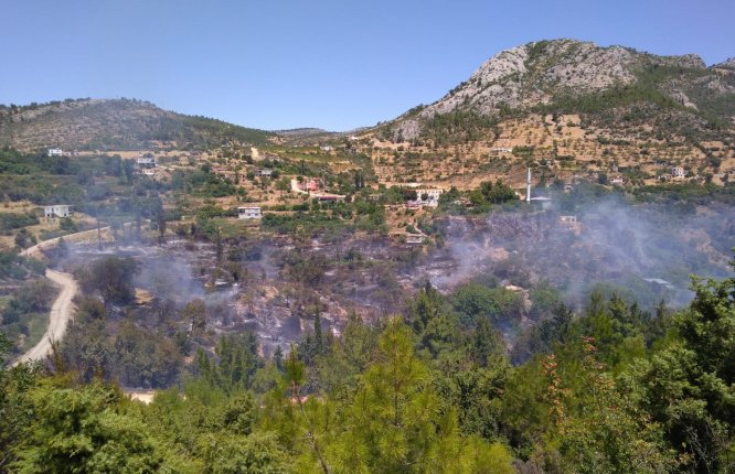 GÜNCELLEME 2 - Mersin'de orman yangını