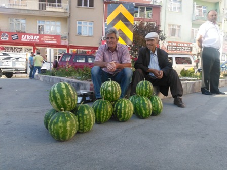 bozkir-karpuzu-satisa-sunuldu-(1).jpg