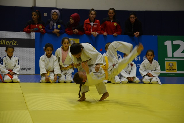 judo-toren--(3).jpg