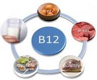 vitaminb12.jpg